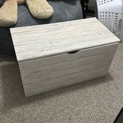 Trunk Storage