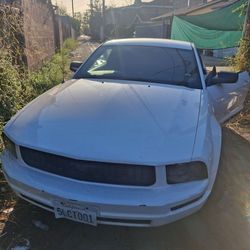 2000 Ford Mustang