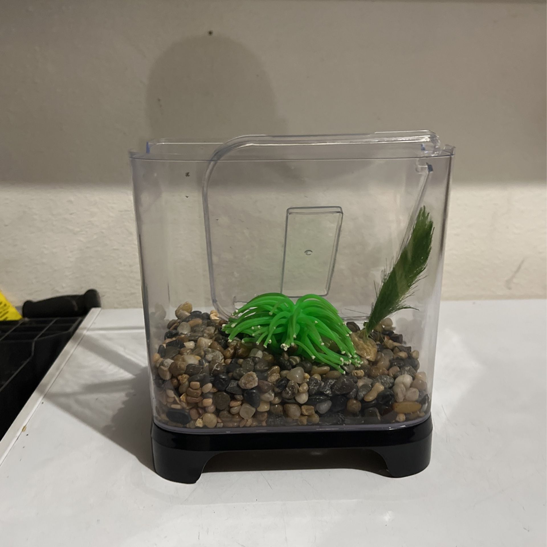 Fish Tank