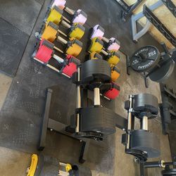 Adjustable Dumbbells