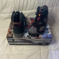 Air Jordan 6 Retro 6P (size 11)