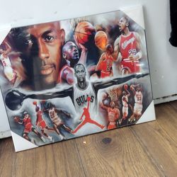 Michael Jordan Picture $25