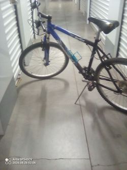 Sorrento diamondback mountain bike