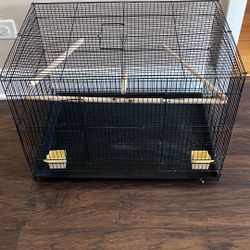 Bird Cage 