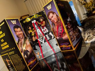 HBK & Razor Ramon WM X