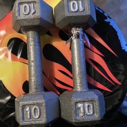 (2) 10s Weights 