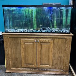 50 Gallon Fish Tank 