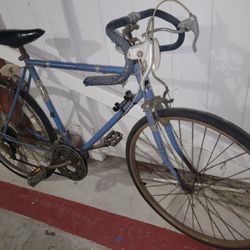 Old School Road 10Speed 