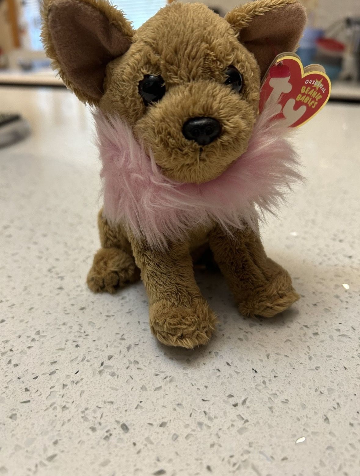 Rare Beanie Baby “ Divalectable “ OBO