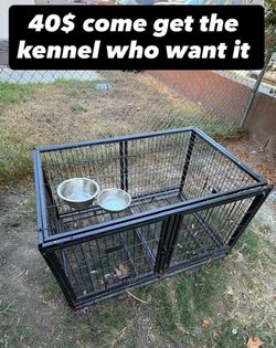 Dog kennel