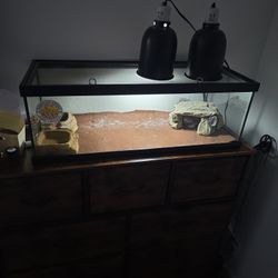 Bearded Dragon Enclosure