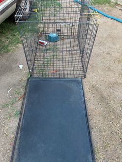 Jaula para perro
