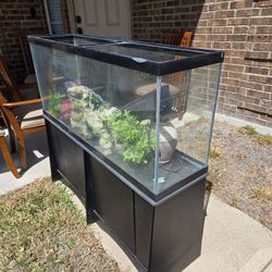 Aquarium 75 GAL