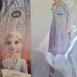 Elsa Costume