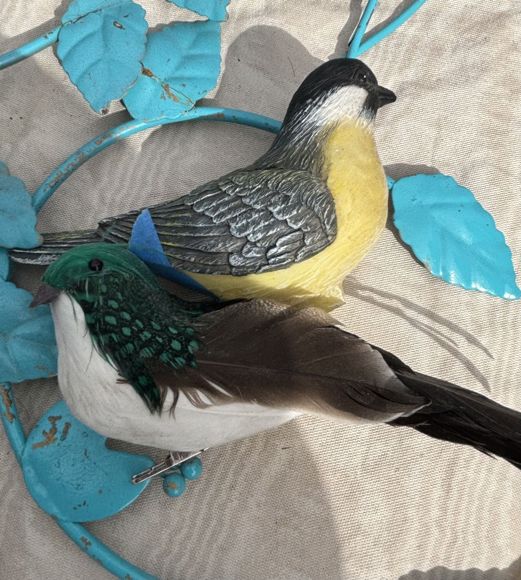 Two birdS