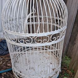 Vintage Victorian Bird Cage 