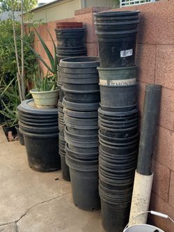 So Many Different Plants Plastic Black Containers Buckets