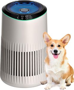 MERONTE Air Purifiers for Bedroom Home, Air Purifier for Smoke Odors with Fragrance Sponge, Small Air Purifier with Sleep Mode for Bedroom Office, Blu