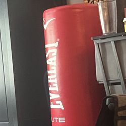 Everlast Weighted Sand Punching Bag