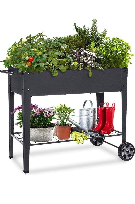 Raised Planter On Wheels