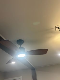 Brand New ceiling fan 42”