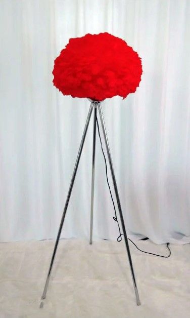 Red Feathers Floor Lamp