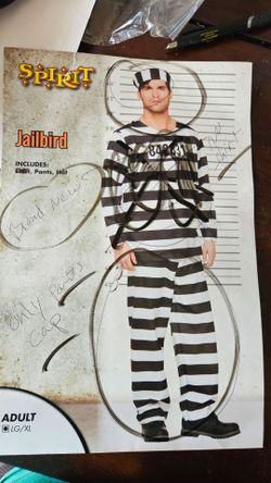 New Spirit: Jailbird custome. Only the hat/pants lg/xl. (could wear a black shirt) firm