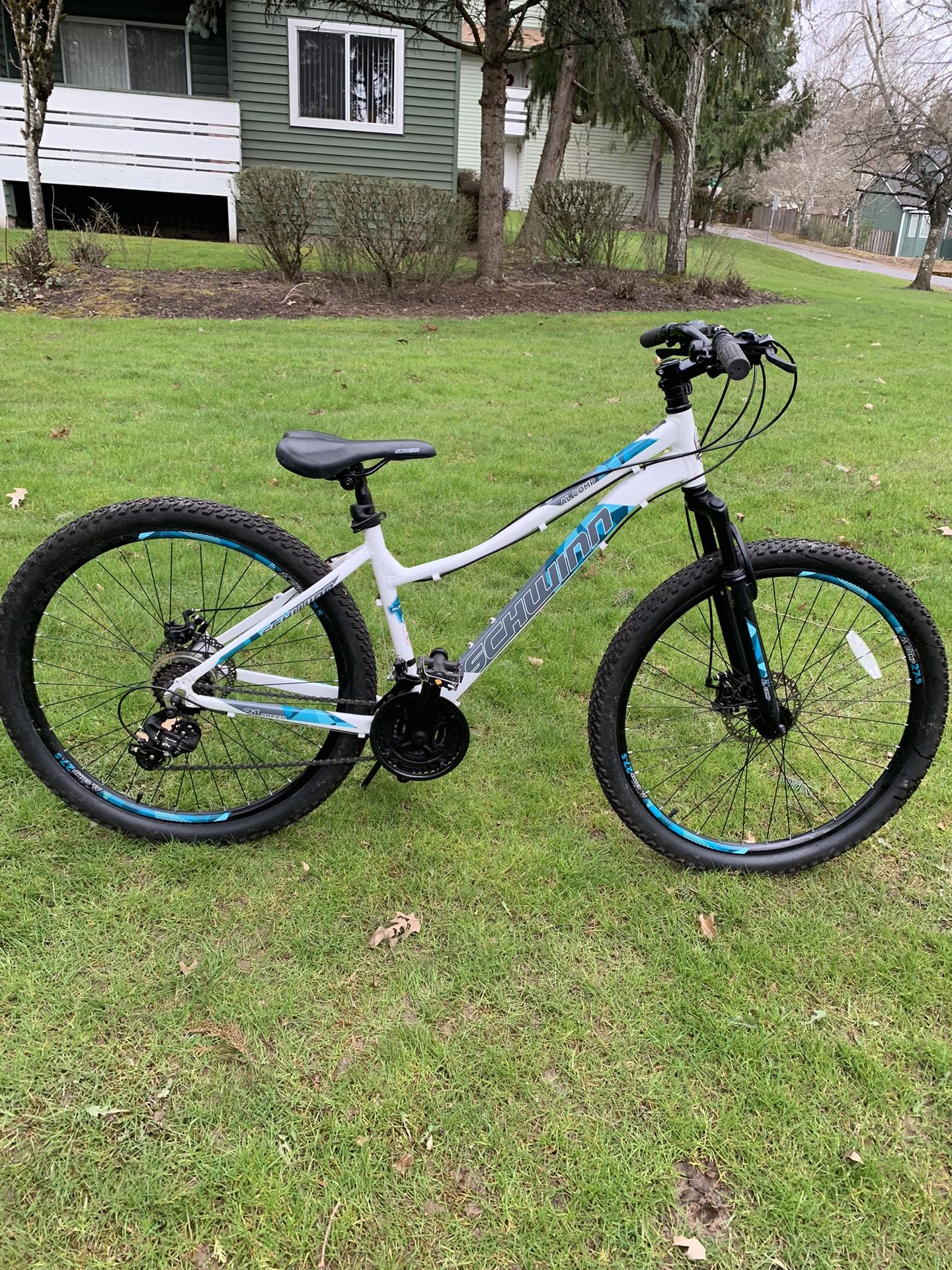 Schwinn Bike