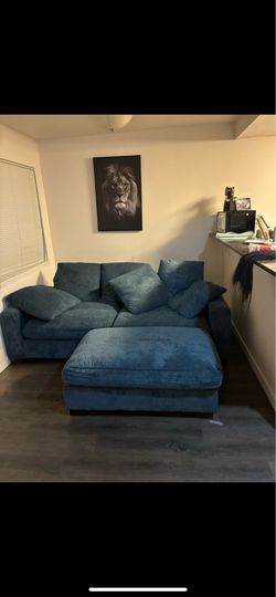 new sofa in storage $150