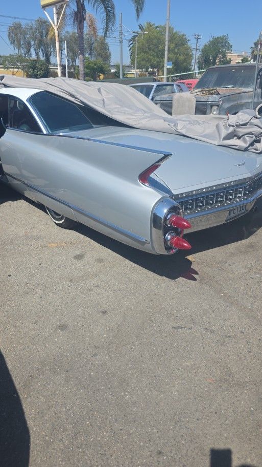 T.A.P.I.C.E.R.I.A.....