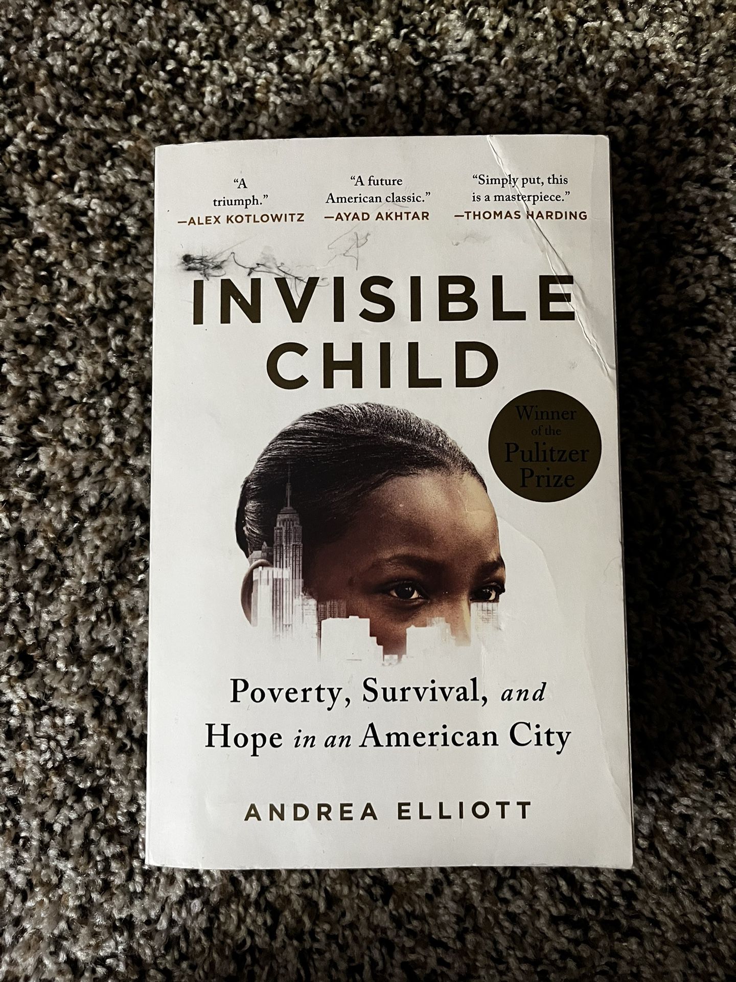 Invisible Child Andrea Elliott