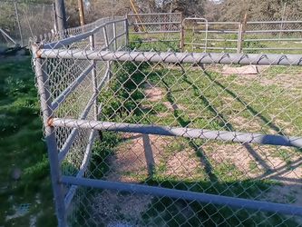 Metal horse stables