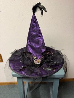 Purple Witch Hat with Spider and Feather Trim