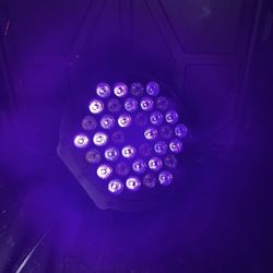 Black Light LED Par Can Lighting Halloween Decor Yard Lighting 