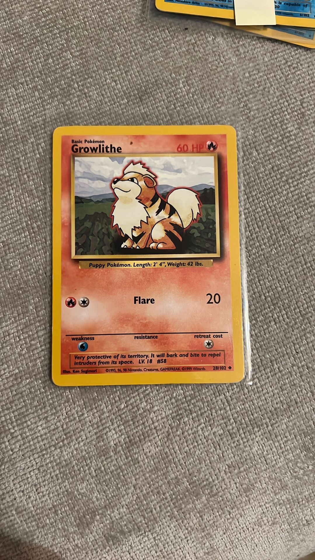 Pokemon Growlithe