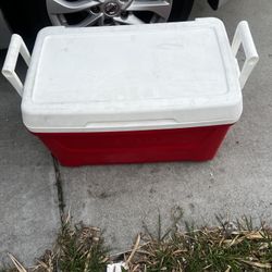 Igloo Cooler 