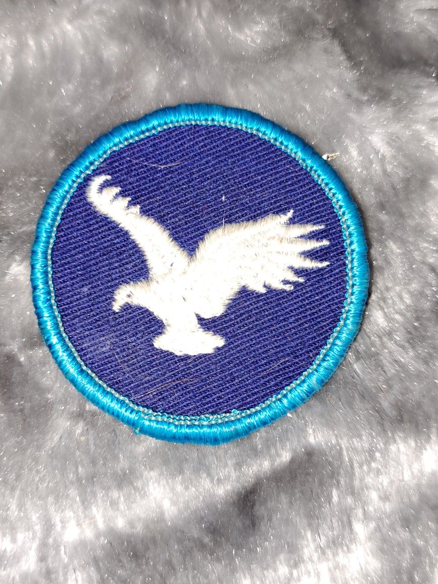 1973 White And Blue Eagle Boy Scout Patch 