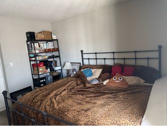 Bed and Shelving Unit