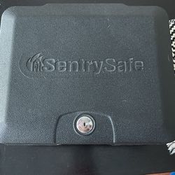 Portable Safe