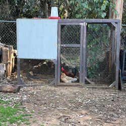 Chicken Run / Coop 