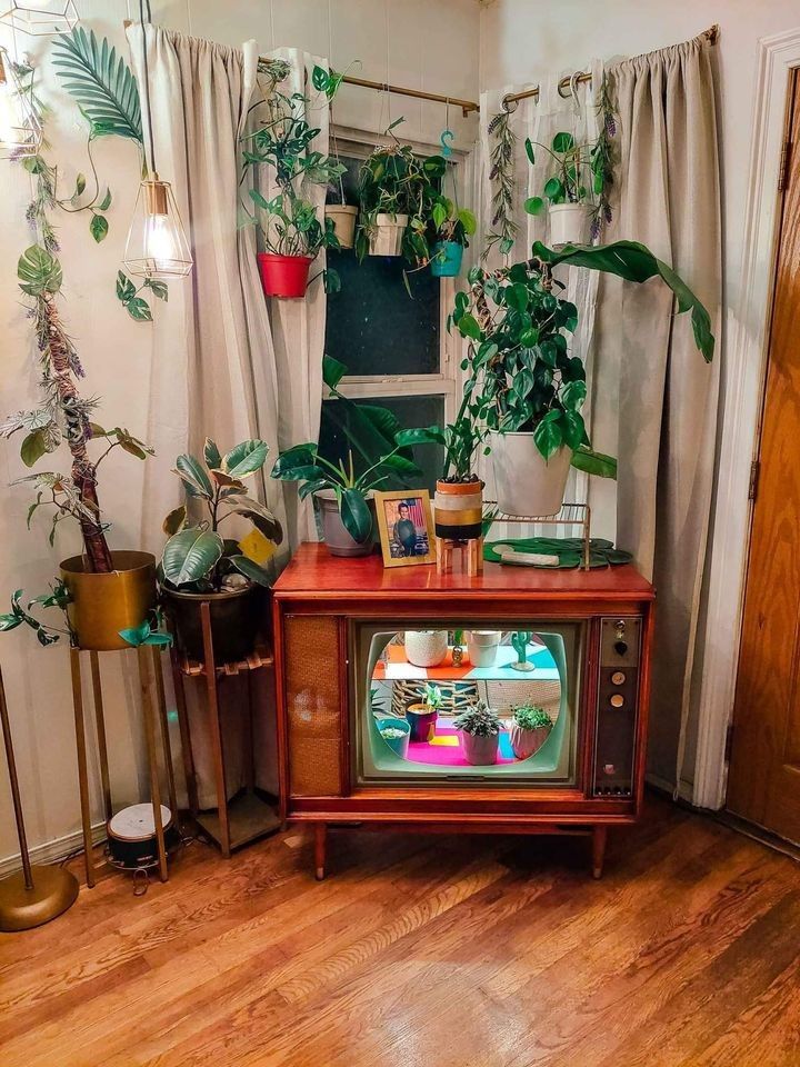 Mid Century Modern Restored Tv To Bar Or Greenhouse