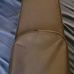 Violin Case