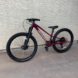 Specialized Expert 24” 