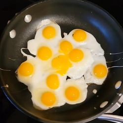 Fresh Quails Eggs 