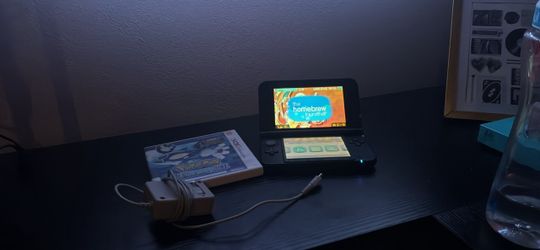 Nintendo 3DS XL (Custom Firmware) with Pokémon Game and Charger