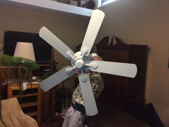 Ceiling fan 20 inch drop