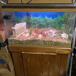 30 Gallons Fish Tank 