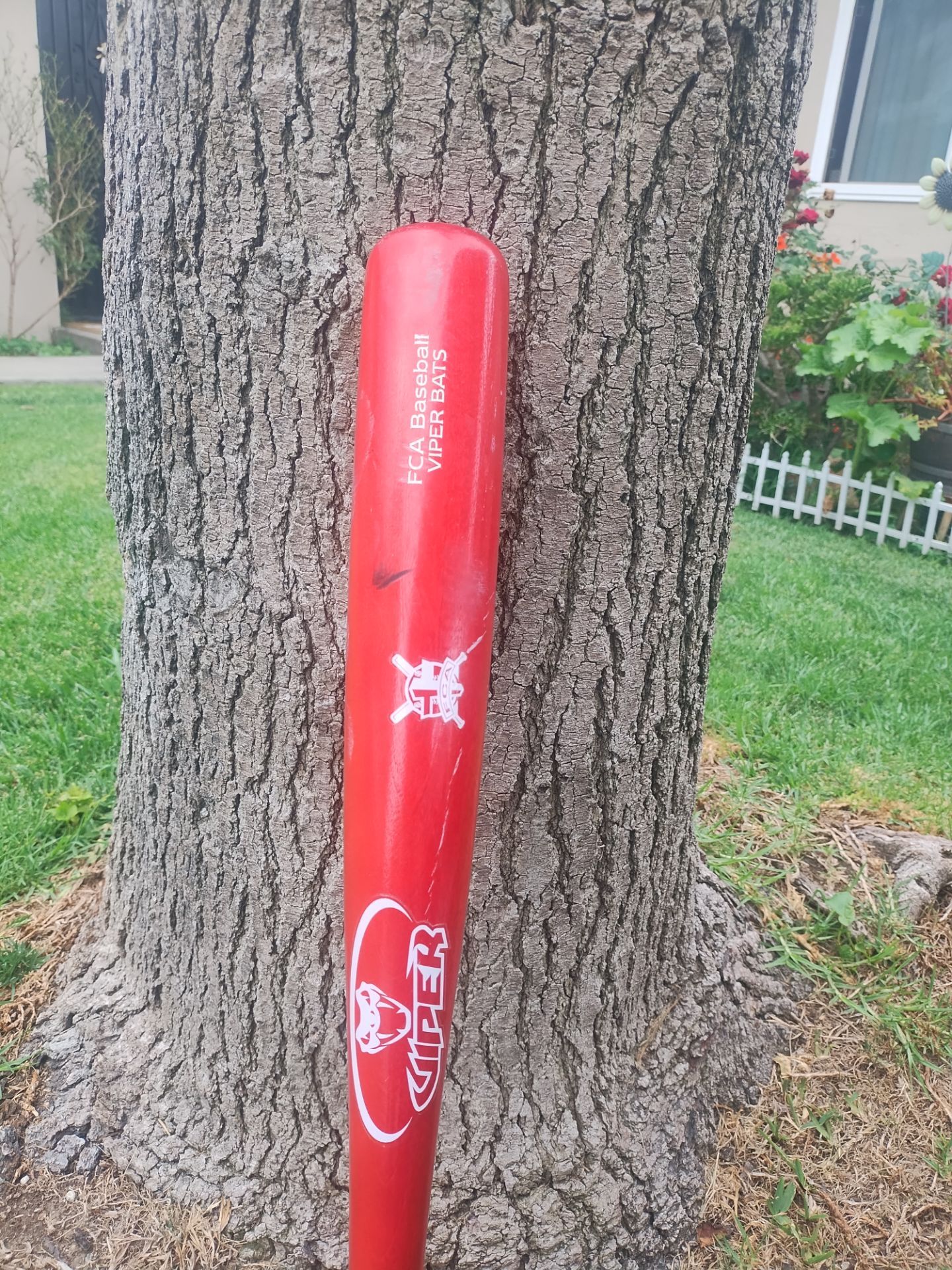Baseball Bat
