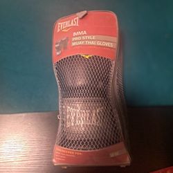 Used Everlast Gloves
