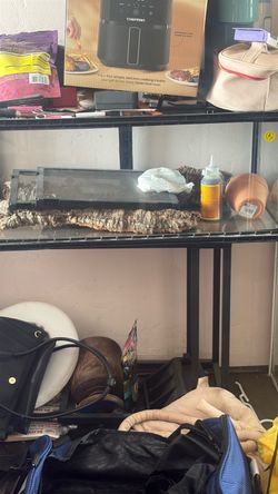 Reptile tank Osmar